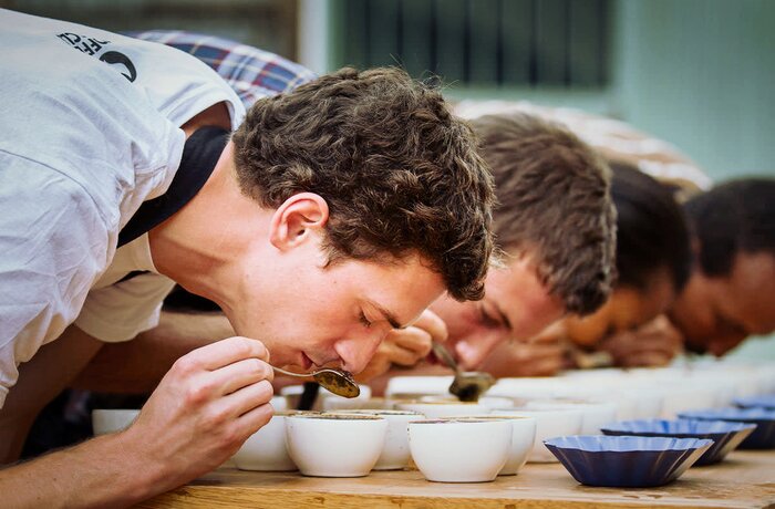 Filiżankowanie czyli cupping level podstawowy